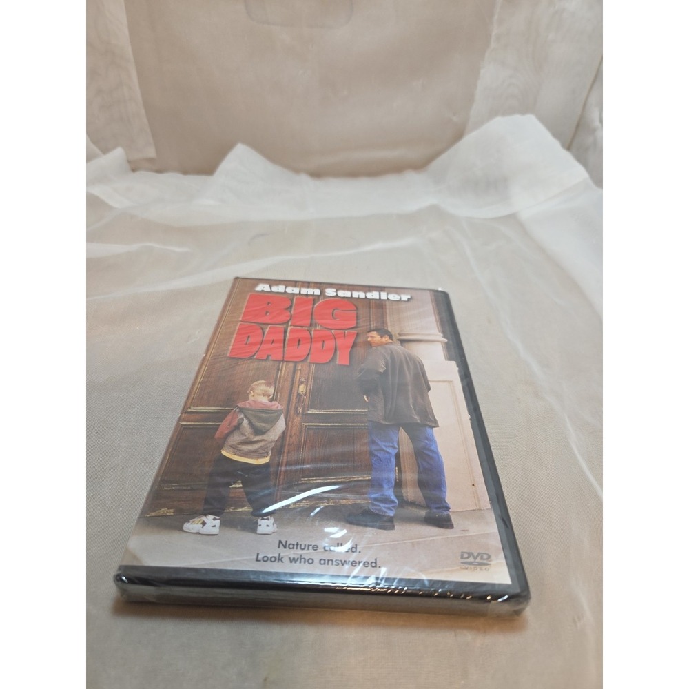Big Daddy (DVD, 1999)